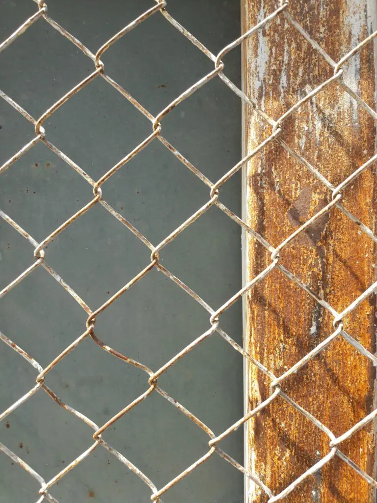 Full frame shot chainlink fence